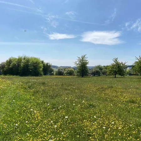 Charming With Terrace In Holiday home Deggendorf